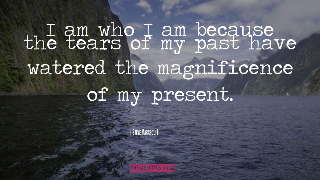 I Am Because quotes by Steve Maraboli