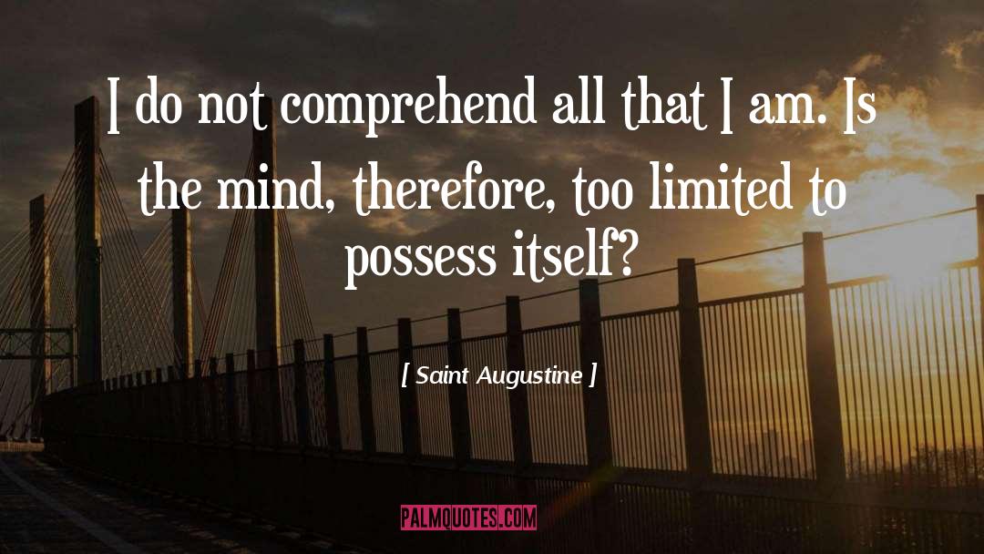 I Am Called quotes by Saint Augustine