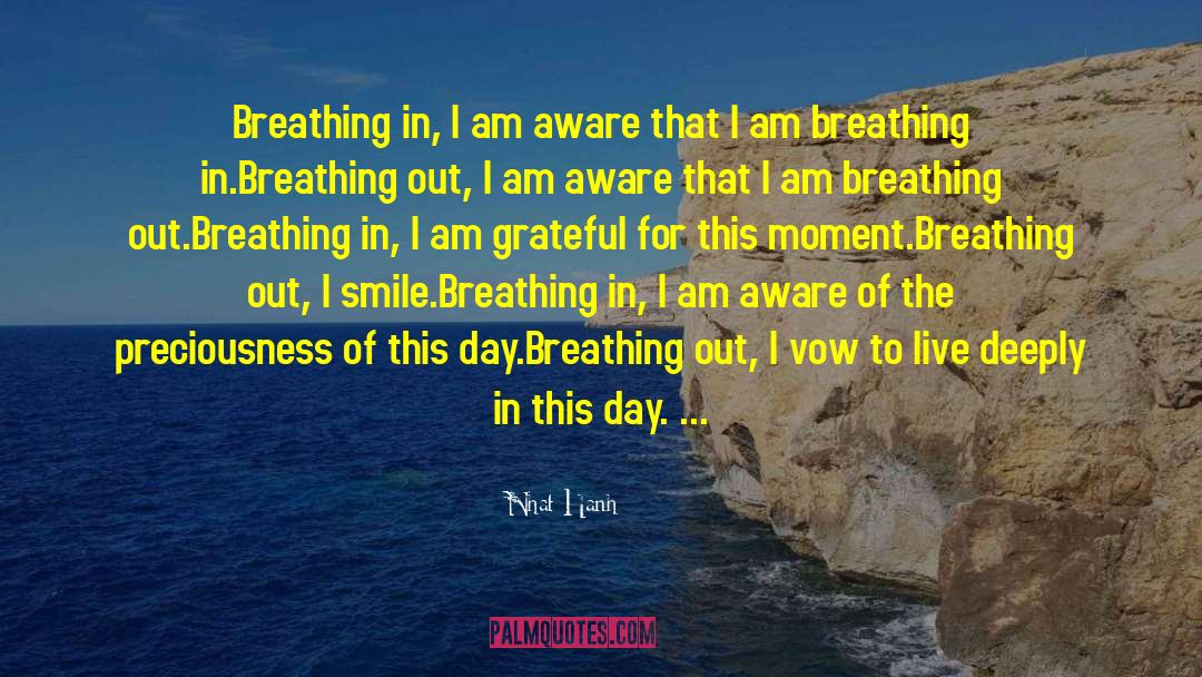 I Am Grateful quotes by Nhat Hanh