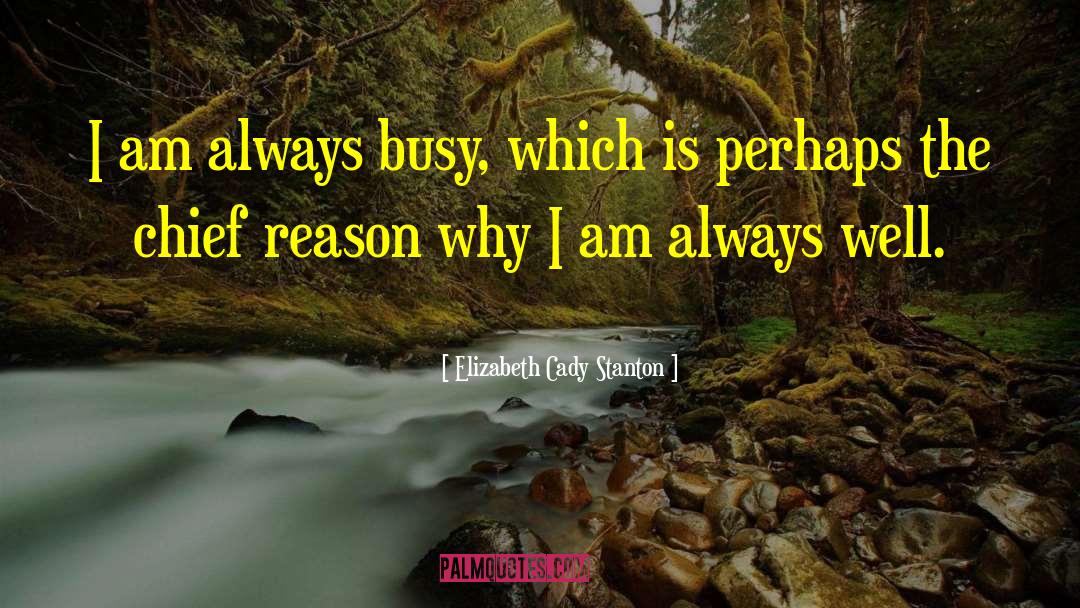 I Am Immortal quotes by Elizabeth Cady Stanton