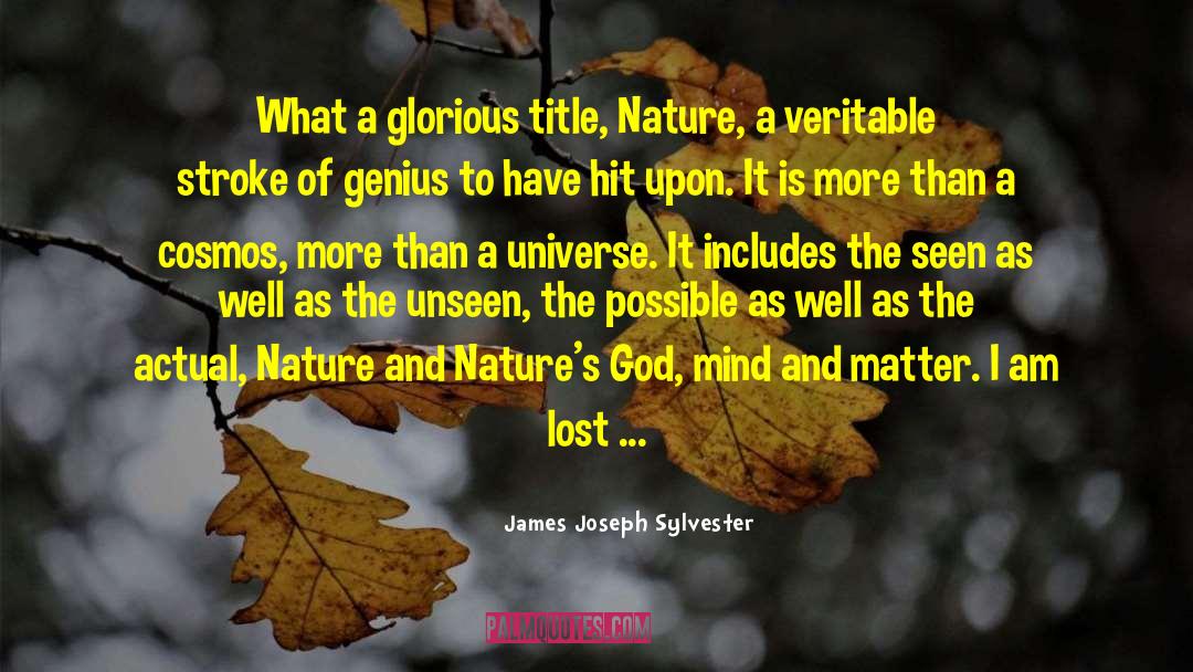 I Am Lost quotes by James Joseph Sylvester