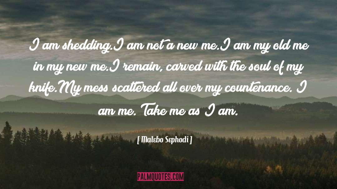 I Am Me quotes by Malebo Sephodi