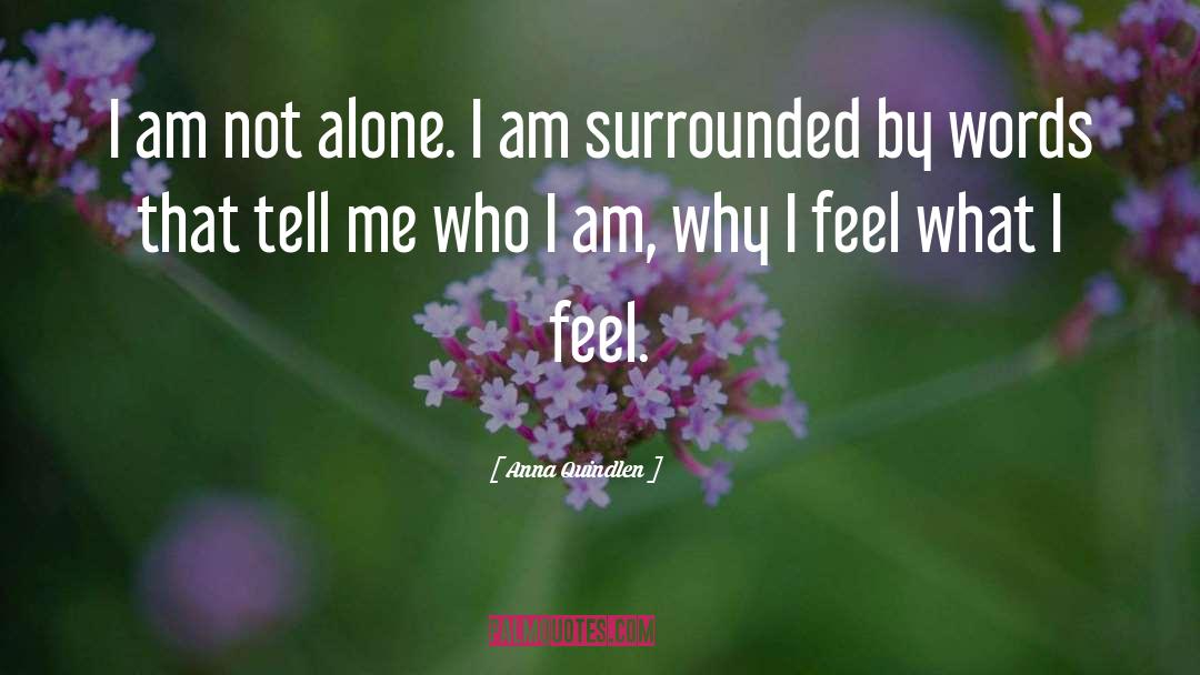 I Am Not Alone quotes by Anna Quindlen