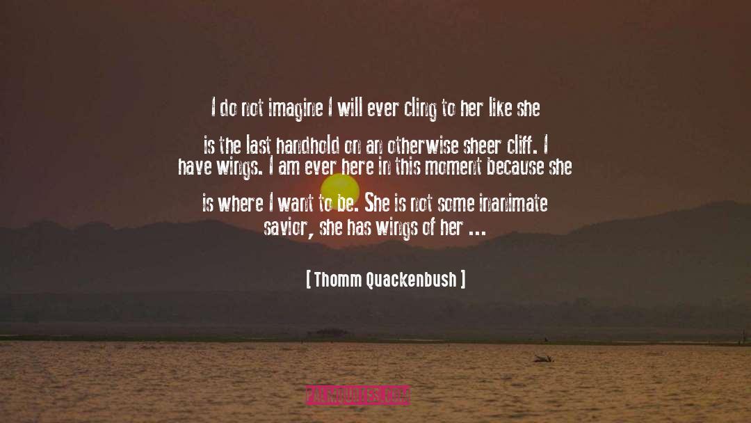 I Am Not Available quotes by Thomm Quackenbush