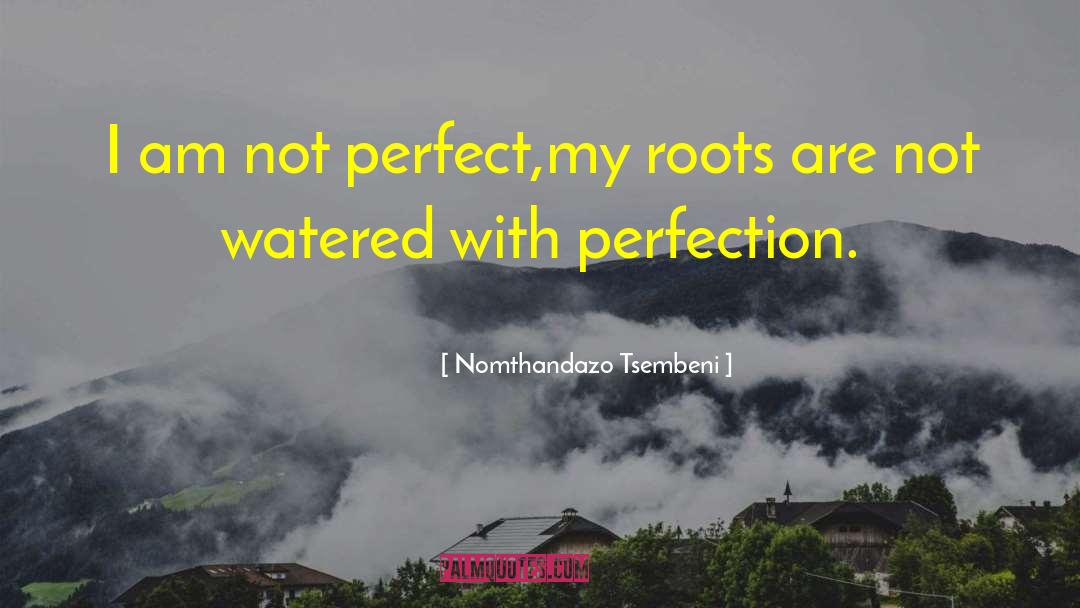 I Am Not Perfect quotes by Nomthandazo Tsembeni