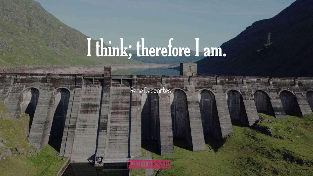 I Am Pretty quotes by Rene Descartes