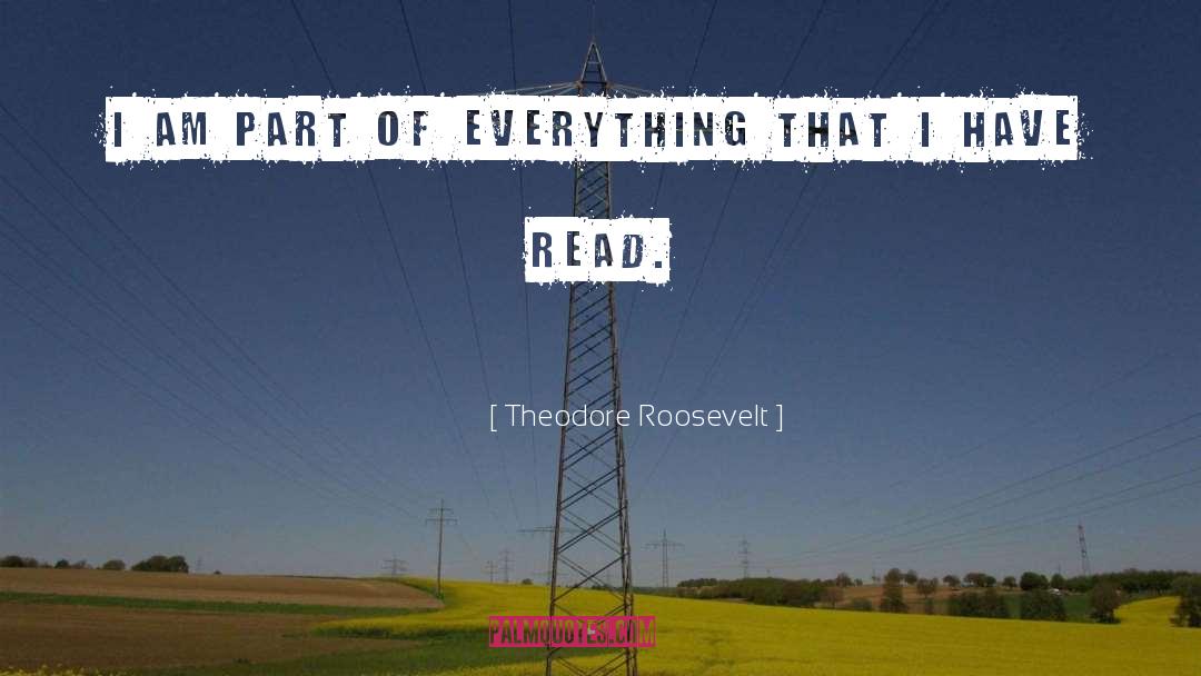 I Am quotes by Theodore Roosevelt