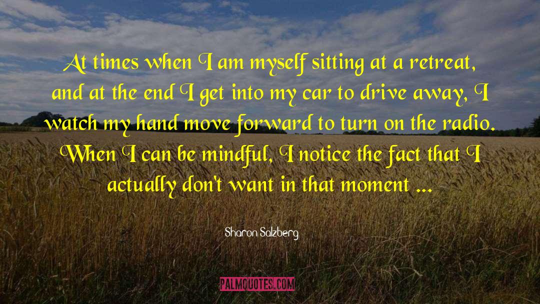I Am Sitting Alone quotes by Sharon Salzberg