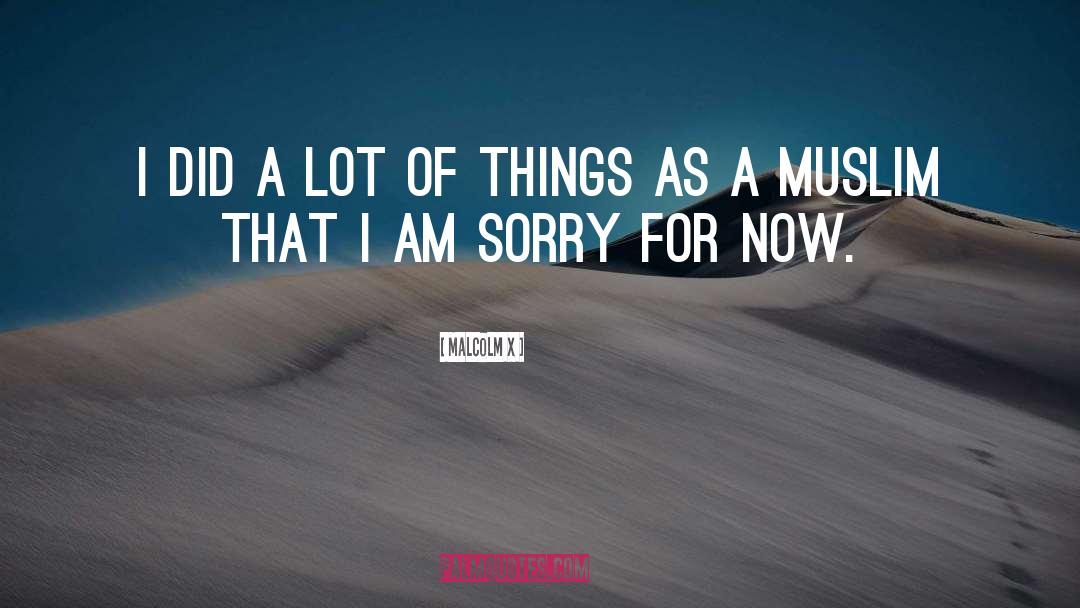 I Am Sorry quotes by Malcolm X