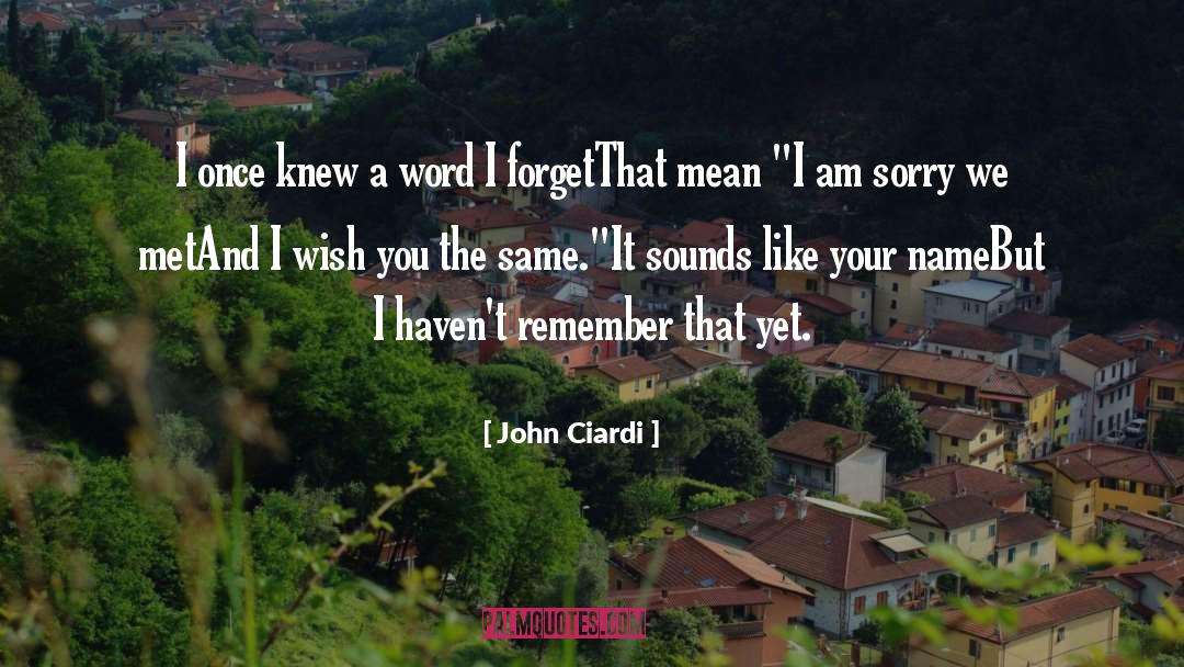 I Am Sorry quotes by John Ciardi