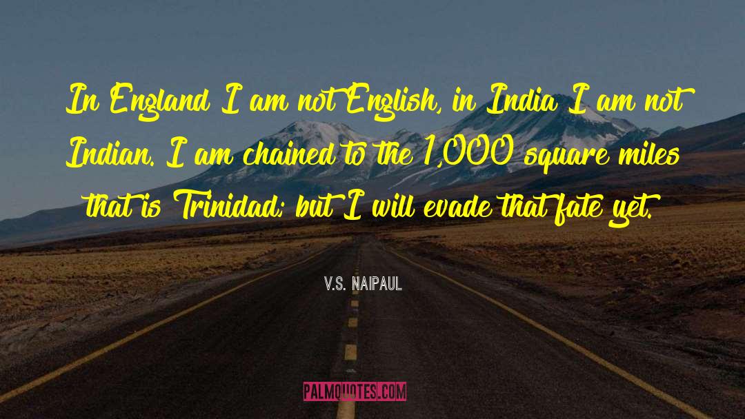 I Am Thankful quotes by V.S. Naipaul