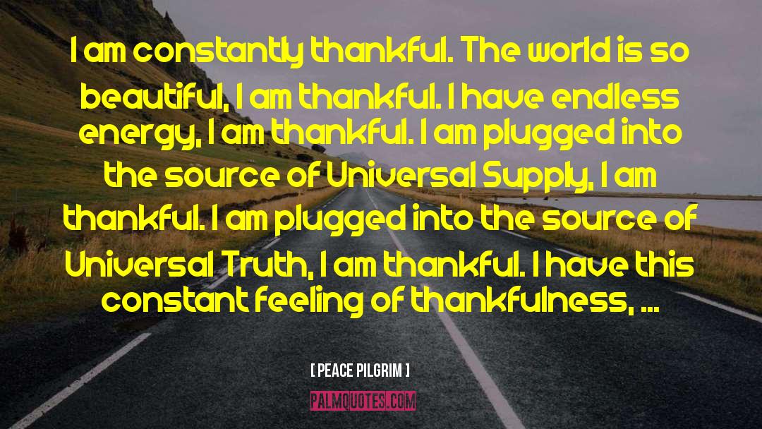 I Am Thankful quotes by Peace Pilgrim