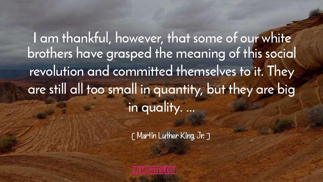 I Am Thankful quotes by Martin Luther King, Jr.