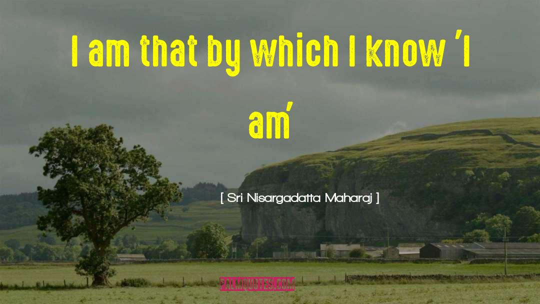 I Am That quotes by Sri Nisargadatta Maharaj