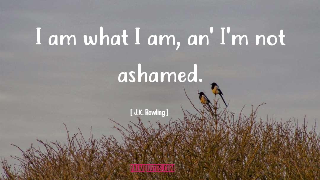 I Am What I Am quotes by J.K. Rowling