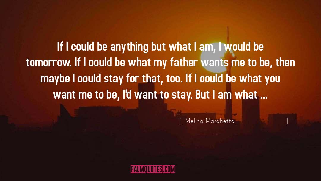 I Am What I Am quotes by Melina Marchetta