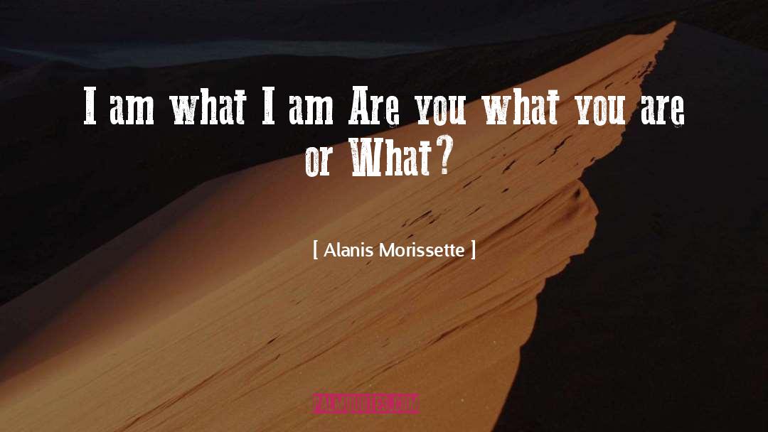 I Am What I Am quotes by Alanis Morissette