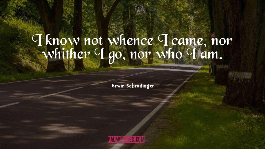 I Am Who I Am quotes by Erwin Schrodinger