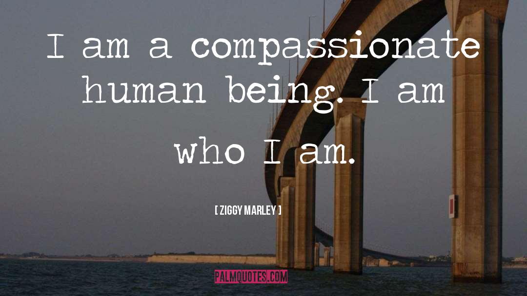 I Am Who I Am quotes by Ziggy Marley