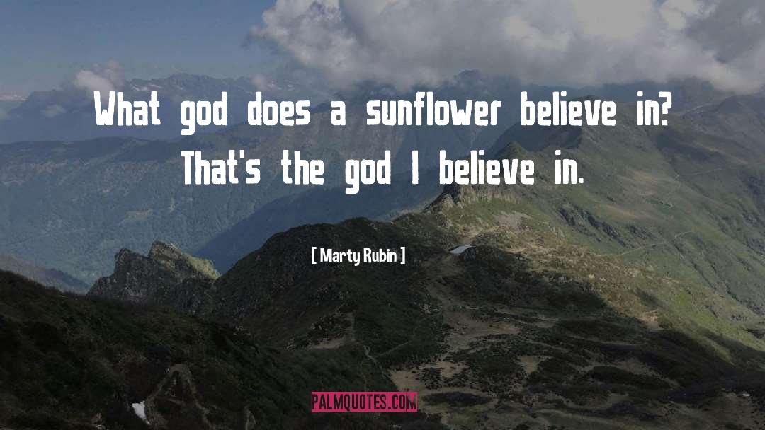 I Believe In God quotes by Marty Rubin