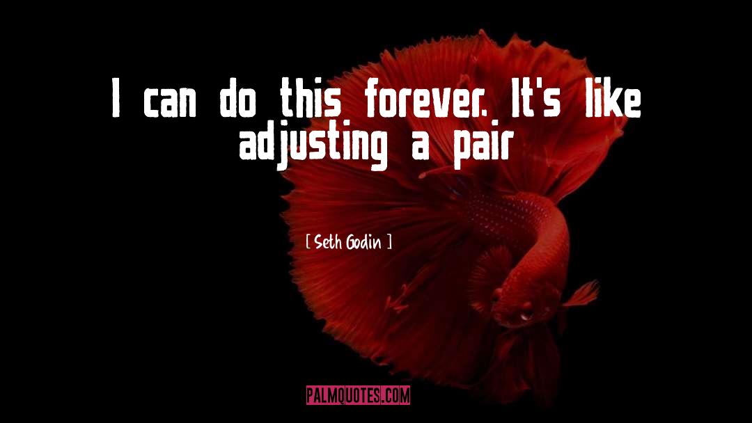 I Can Do This quotes by Seth Godin