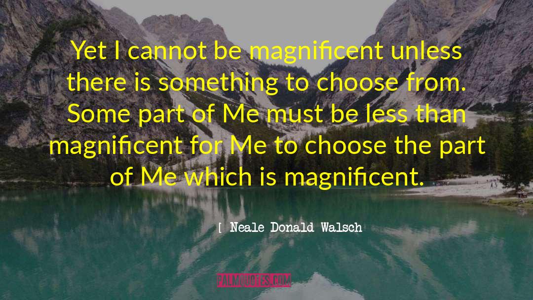 I Cannot Breathe quotes by Neale Donald Walsch