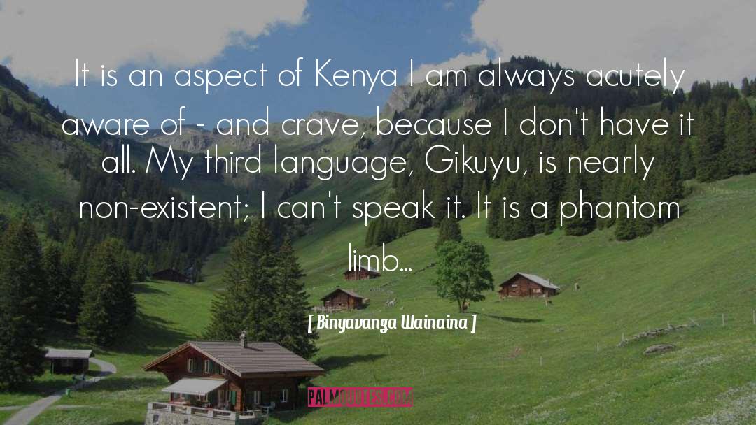 I Cant Speak My Mind quotes by Binyavanga Wainaina