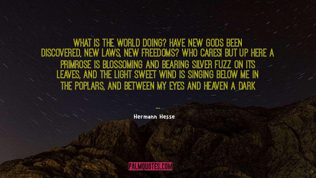 I Care quotes by Hermann Hesse