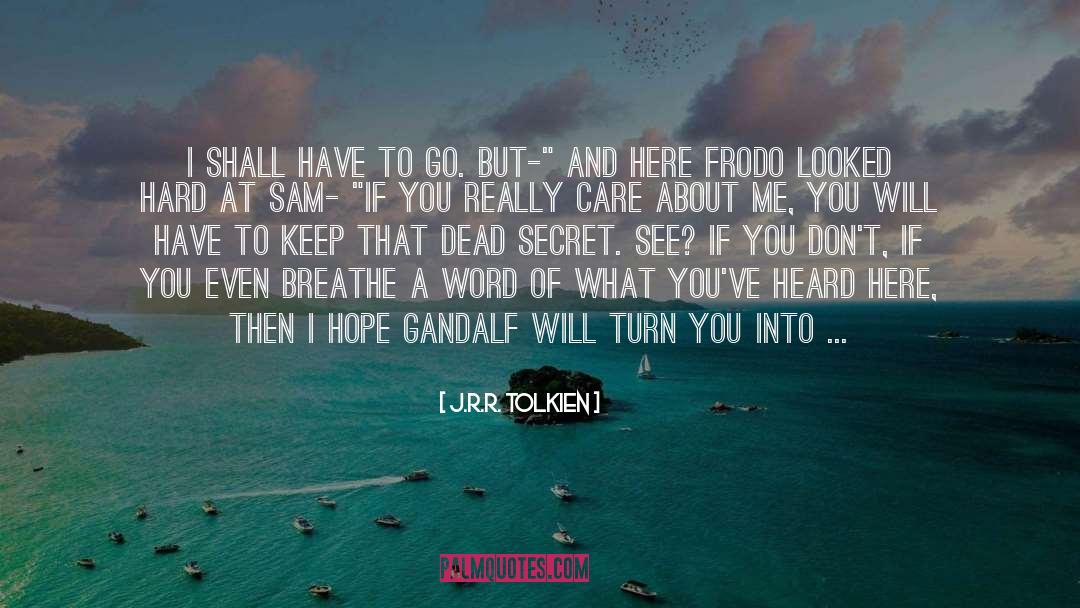 I Dont Care But I Love You quotes by J.R.R. Tolkien