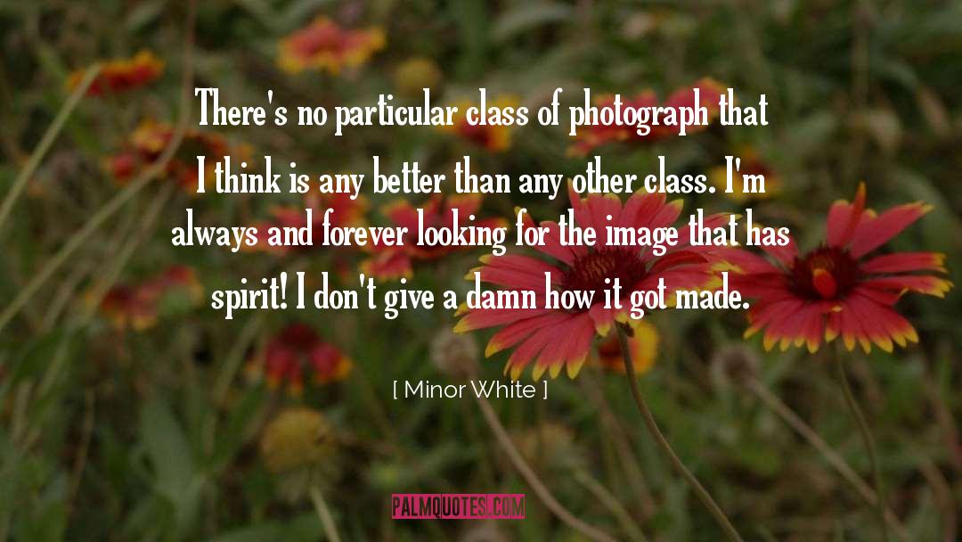 I Dont Give A Damn quotes by Minor White