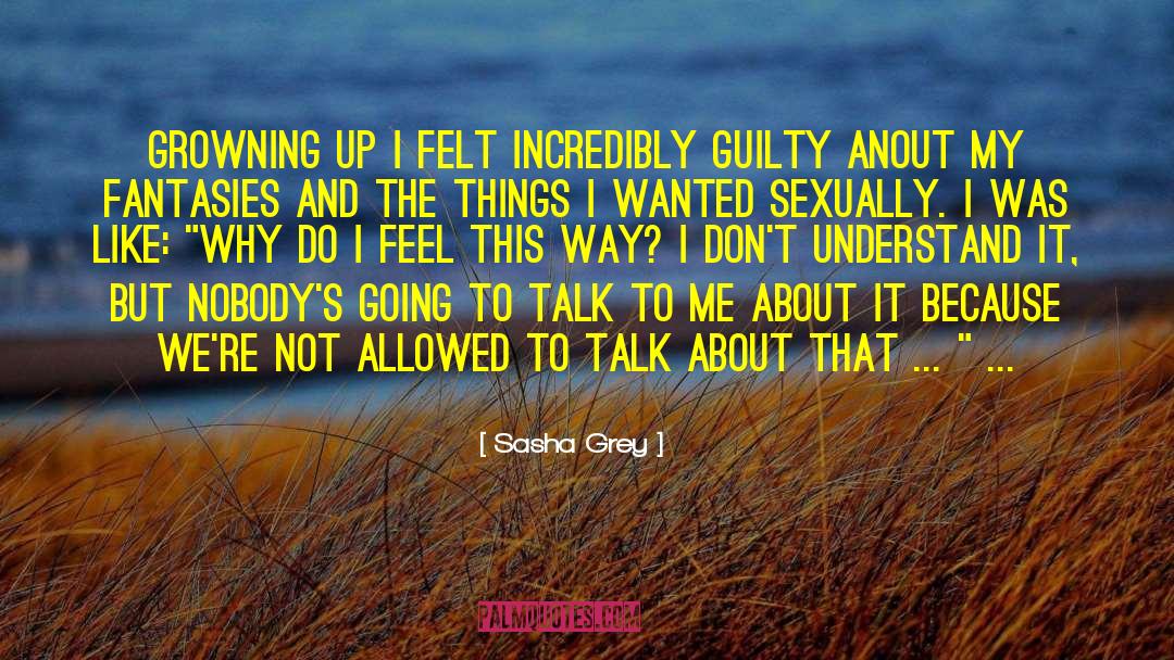 I Dont Like To Talk About Myself quotes by Sasha Grey