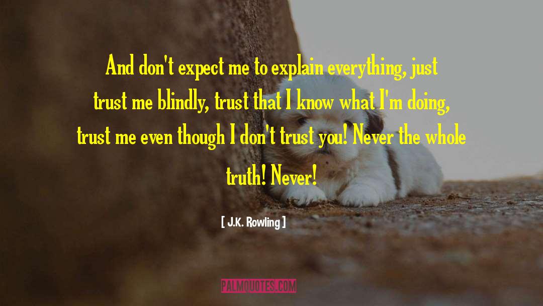 I Dont Trust You quotes by J.K. Rowling