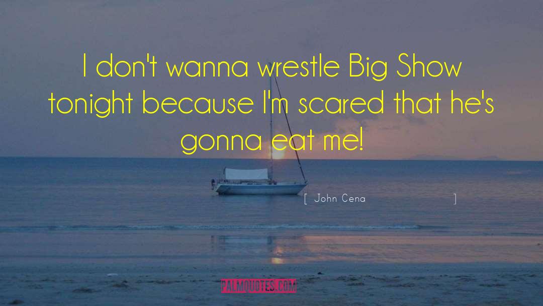 I Dont Wanna See You quotes by John Cena