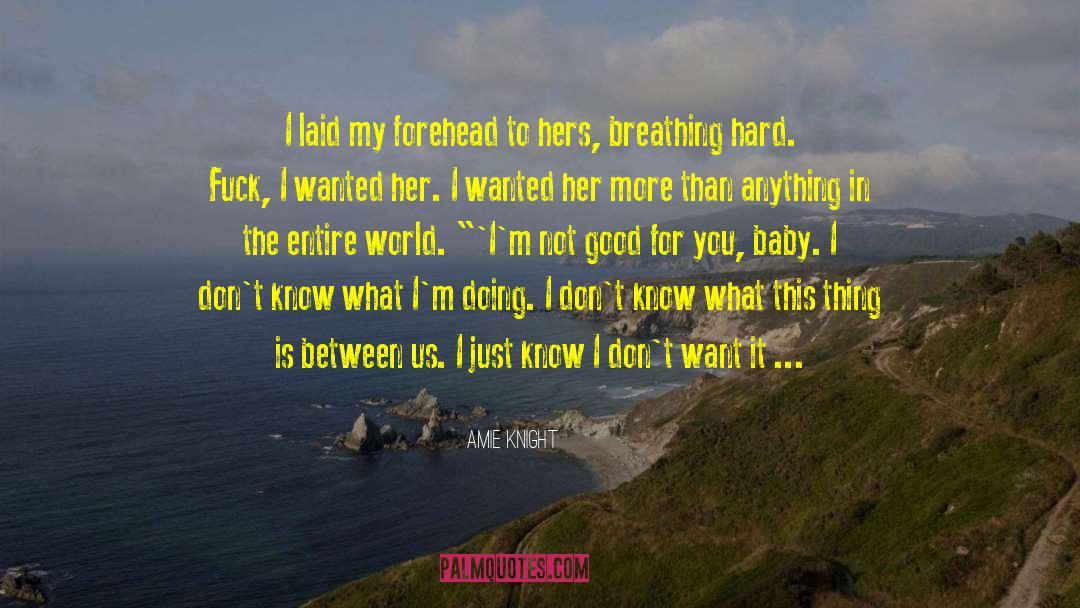 I Dont Want It quotes by Amie Knight