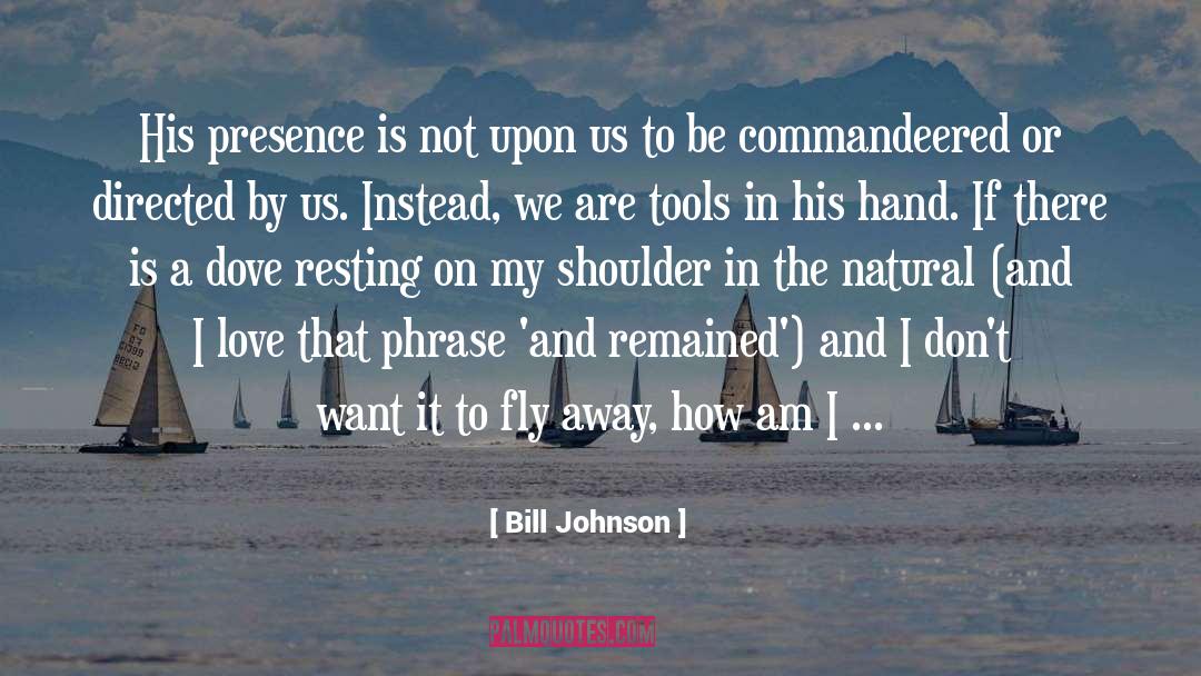 I Dont Want It quotes by Bill Johnson