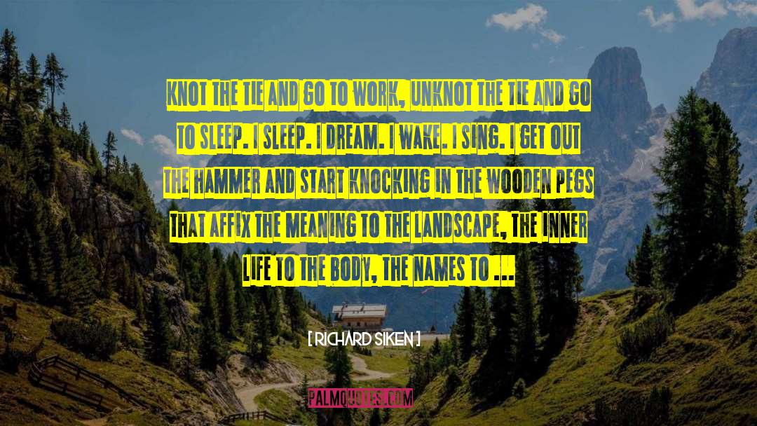 I Dream quotes by Richard Siken