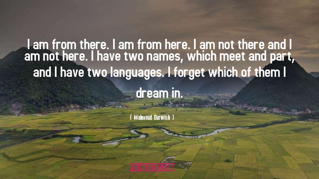 I Dream quotes by Mahmoud Darwish