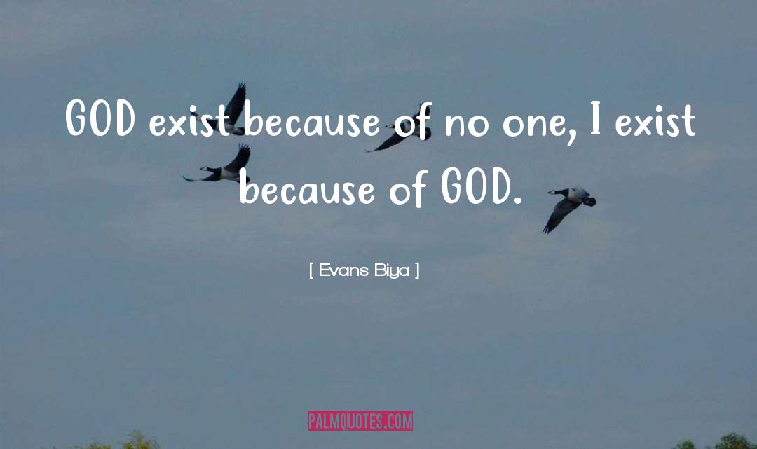 I Exist quotes by Evans Biya