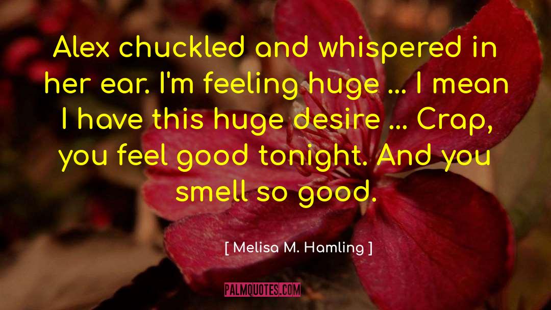 I Feel You Lewis quotes by Melisa M. Hamling