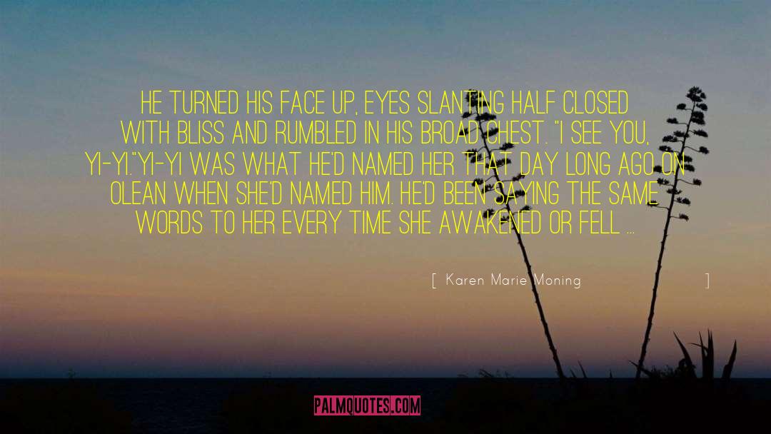 I Fell For His Smile quotes by Karen Marie Moning