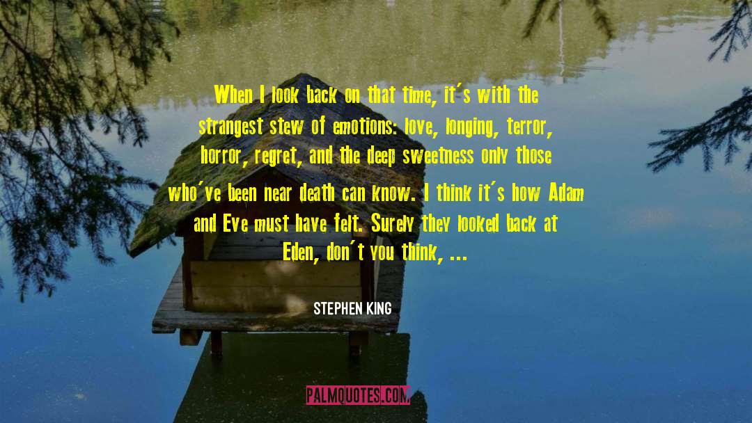 I Fell In Love With You quotes by Stephen King