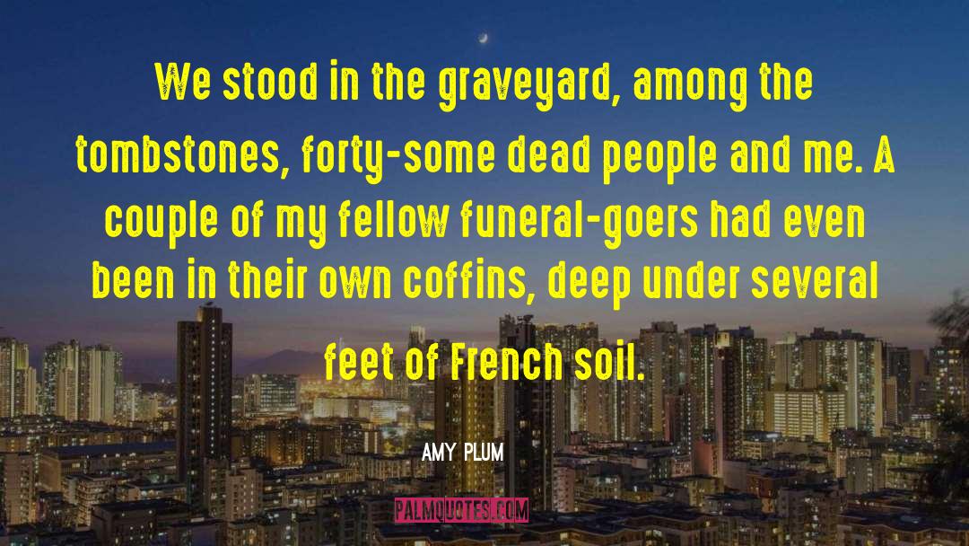 I Felt A Funeral In My Brain quotes by Amy Plum