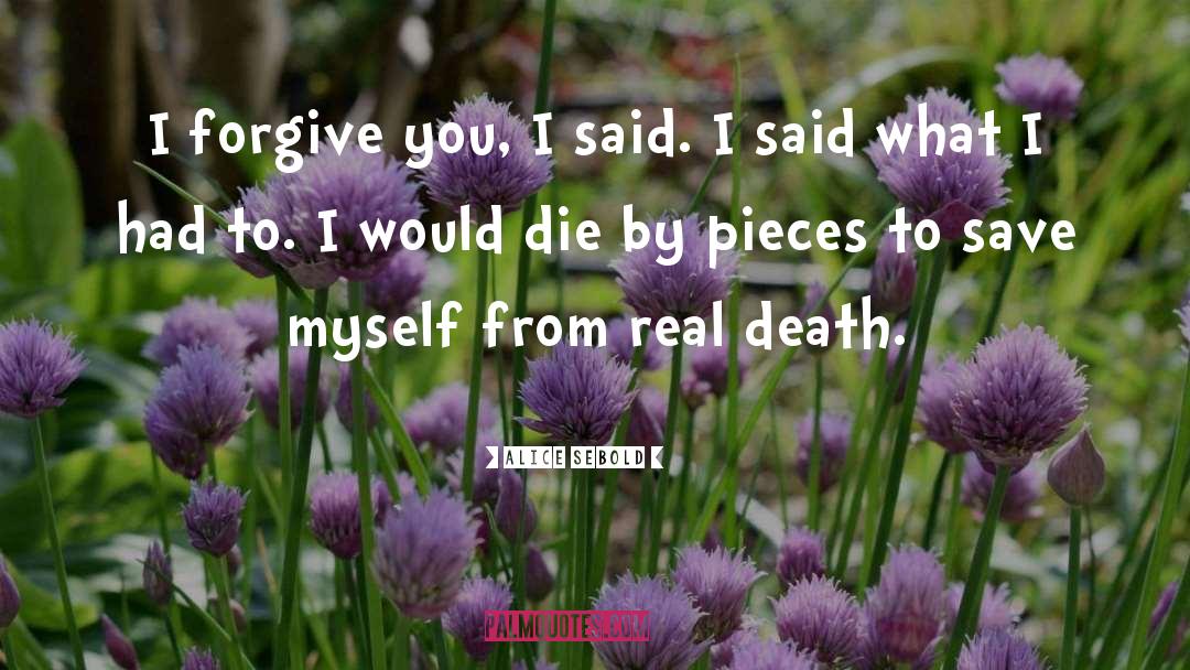 I Forgive You quotes by Alice Sebold