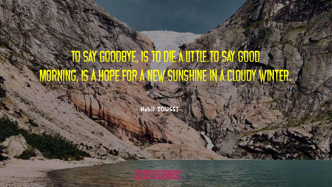 I Got Sunshine On A Cloudy Day quotes by Nabil TOUSSI