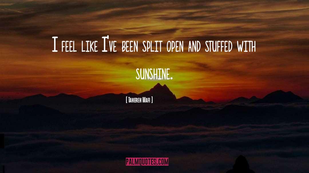 I Got Sunshine On A Cloudy Day quotes by Tahereh Mafi