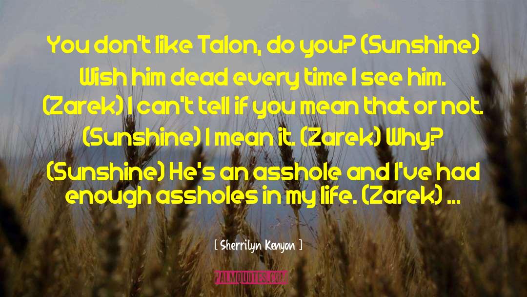 I Got Sunshine On A Cloudy Day quotes by Sherrilyn Kenyon