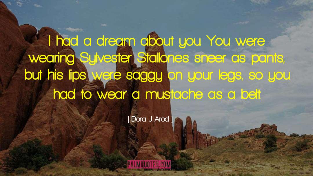 I Had A Dream About You quotes by Dora J. Arod