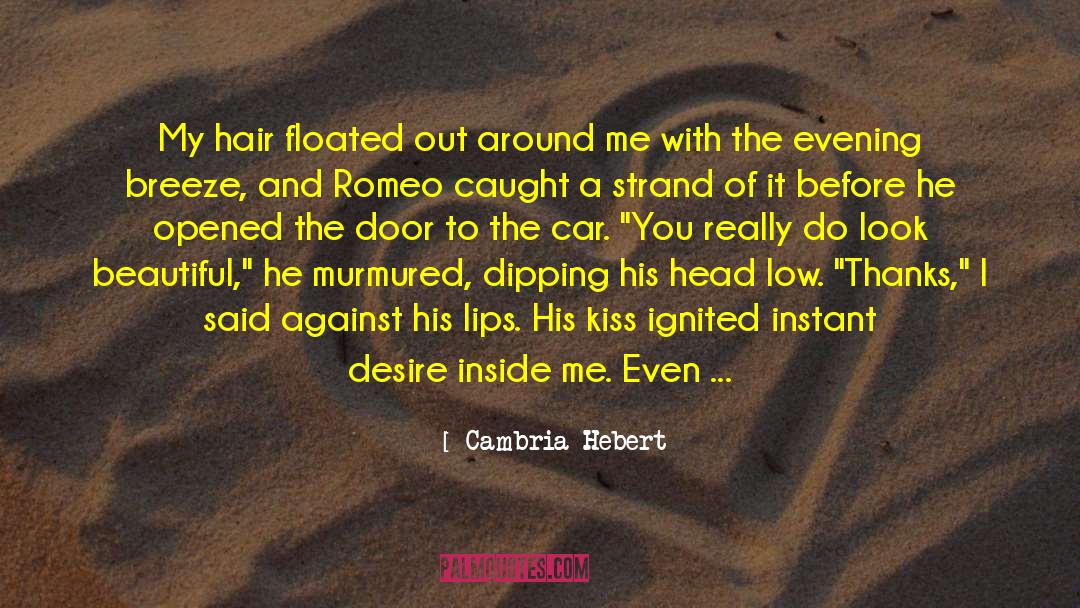 I Had Enough Love quotes by Cambria Hebert