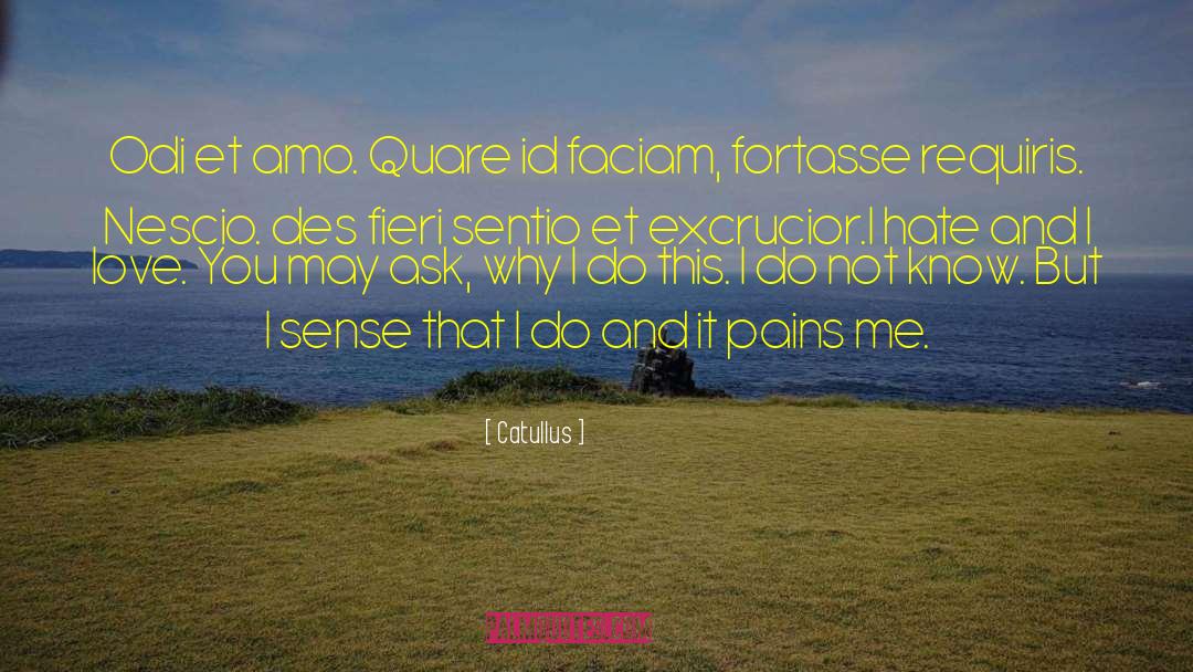 I Hate And I Love quotes by Catullus