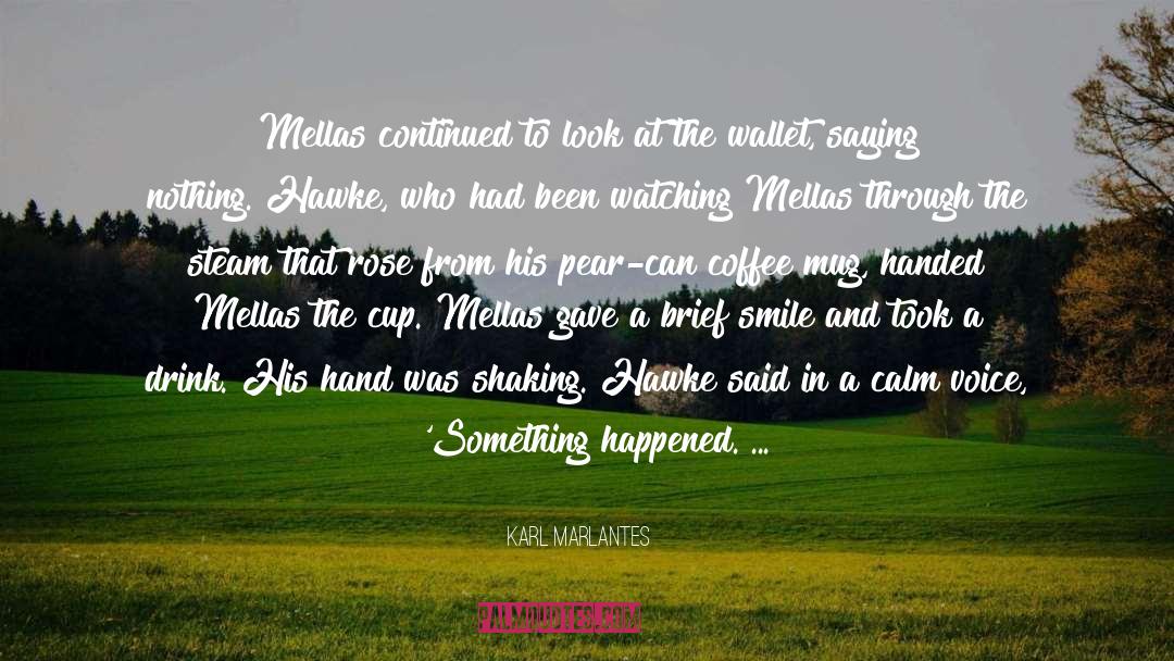 I Just Want You Happy quotes by Karl Marlantes